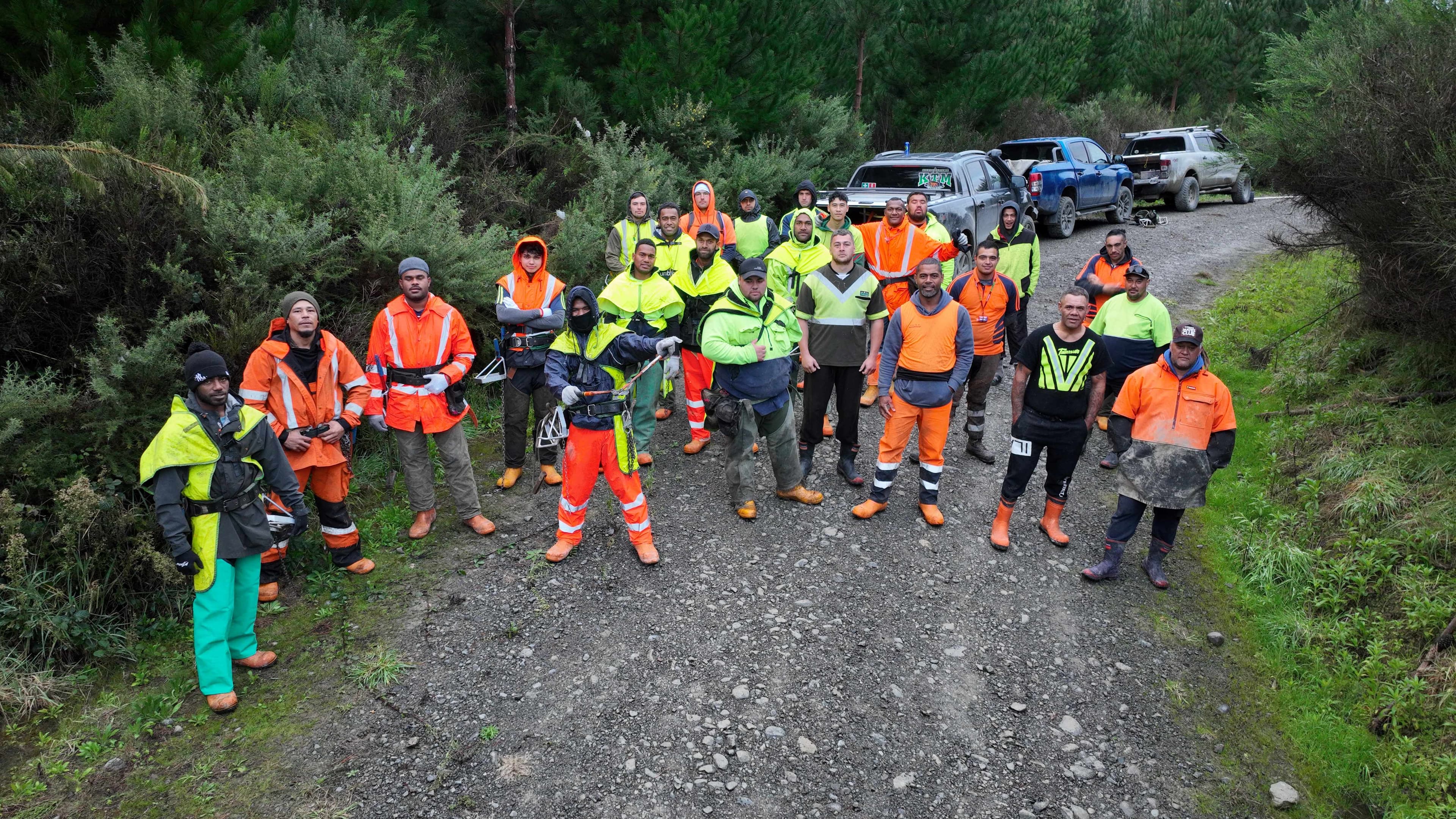 Photo of a silviculture crew