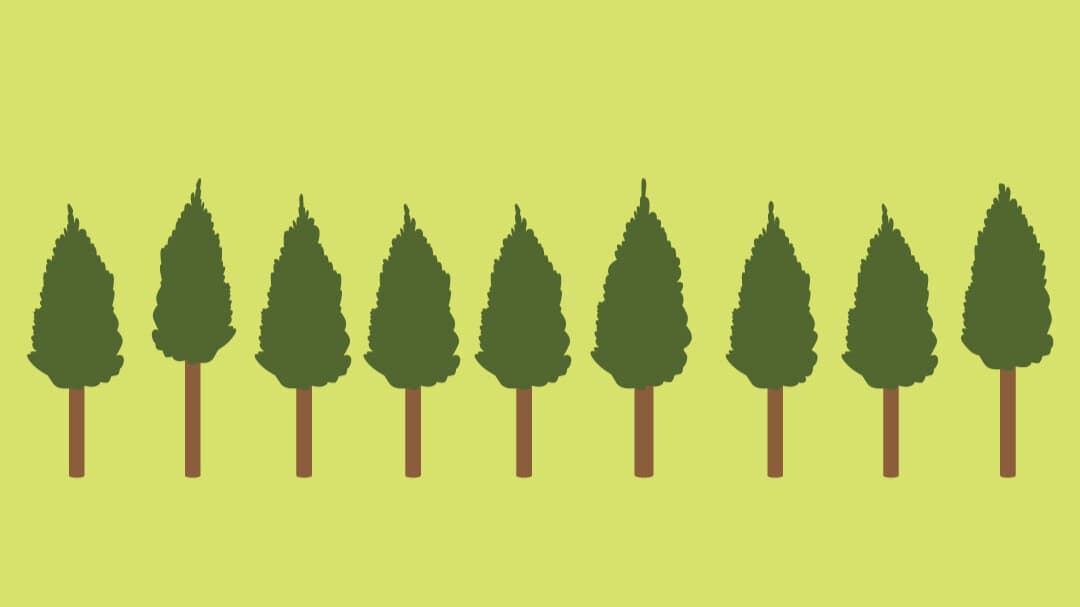 New guidance for the forestry sector